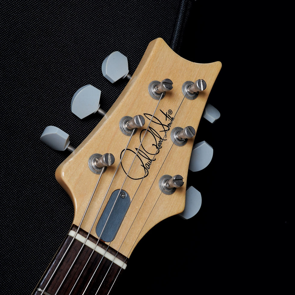 縮圖：PRS Silver Sky 2018