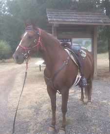 Reba trailhead.jpeg