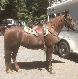 Reba at trailer.jpeg