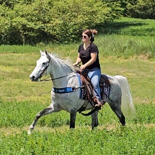 Queen canter L.jpeg