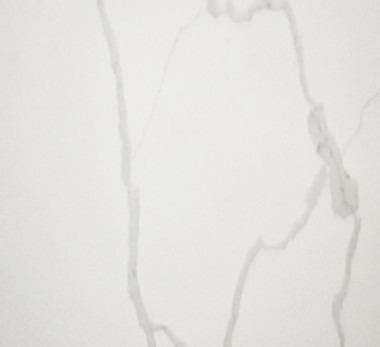 Fish White.jpg