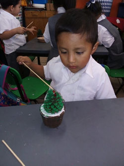 WhatsApp Image 2020-02-29 at 2.10.47 PM.