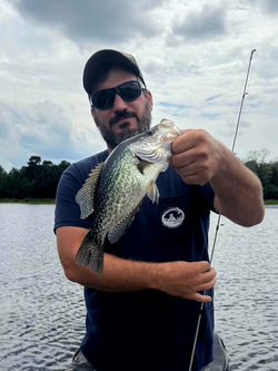 Messenger_creation_4FF290E3-912B-4FCE-A3DC-14FDF36B0FDF