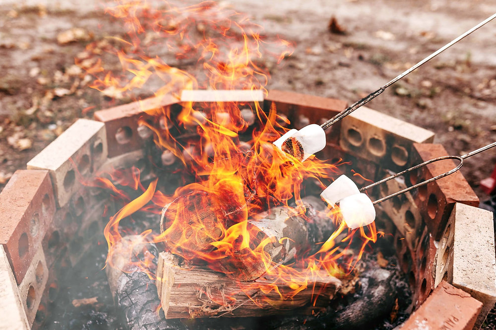 Don't Move Firewood and the Why?