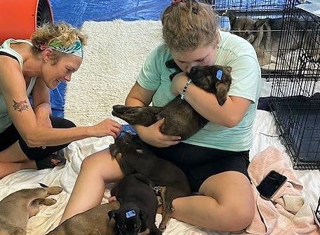Keltyn w a lap of puppies_edited.jpg