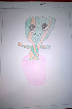 Color 1ero A spx (2)