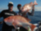 cairns fishing adventures, fishing charters cairns, Queensland, Australia, Nannygai, Saddle tail snapper