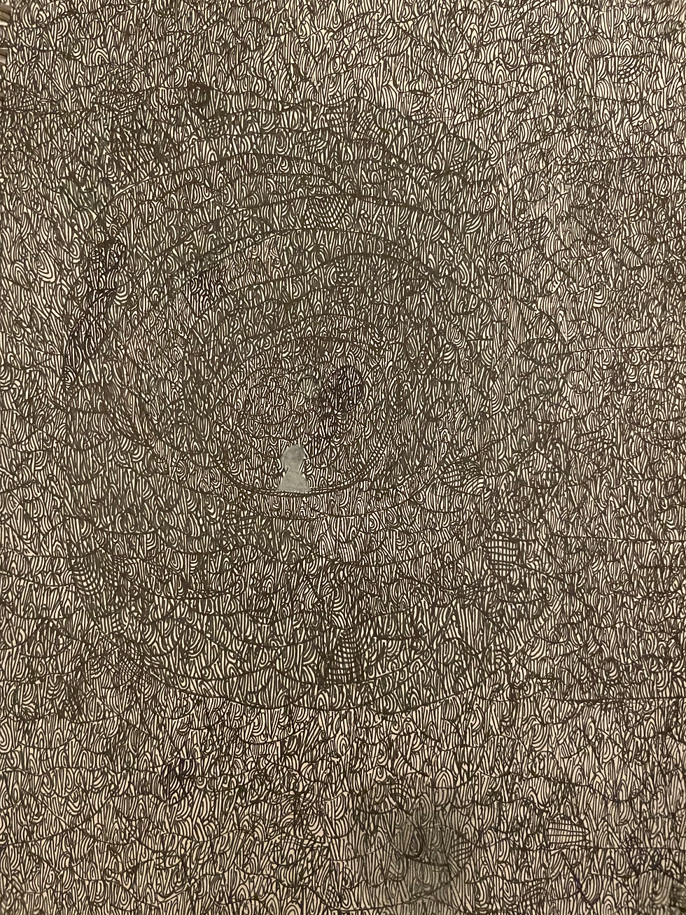 Mapping the Complexity of Emotion Through Motion and Form