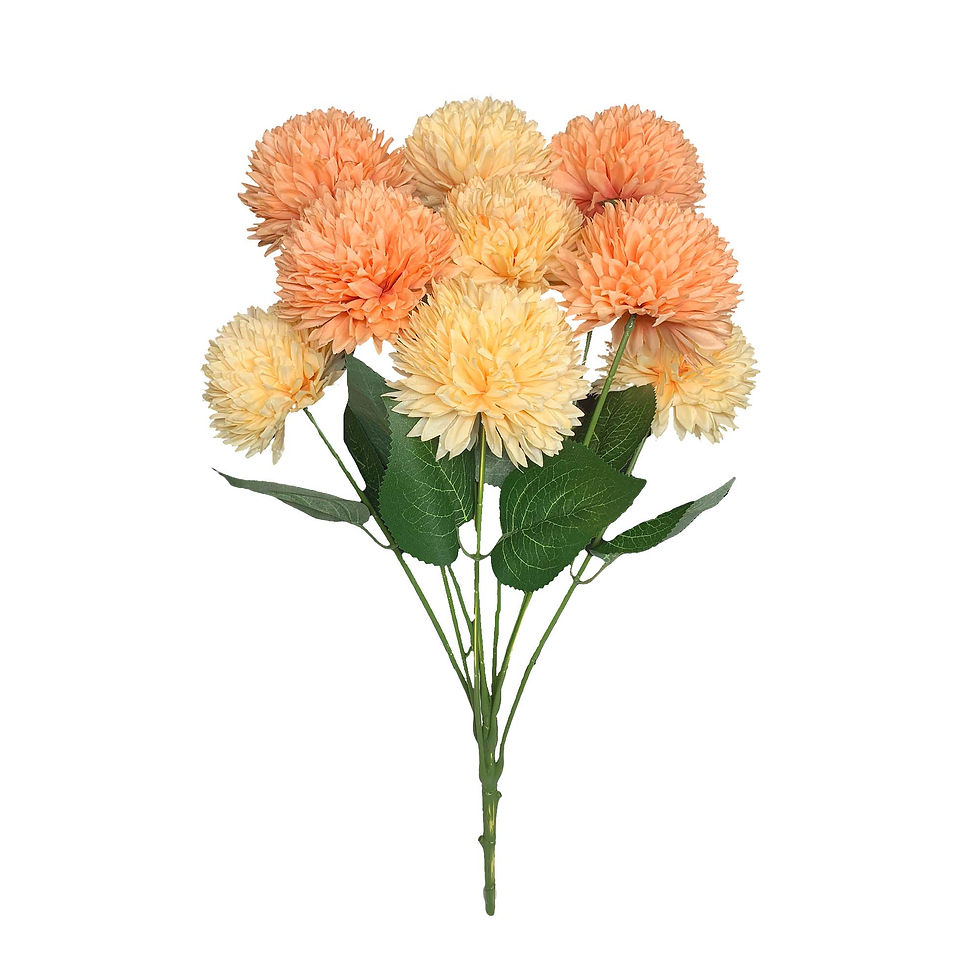 Thumbnail: Ball Mum x 9