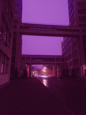20241222_160731.jpg