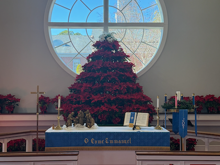 A Tree of Thanksgiving and Remembrance