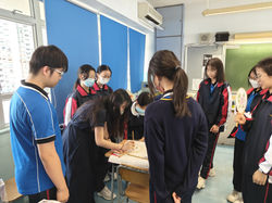 c1419278-1d36-4e26-af63-a2dc26f6a806