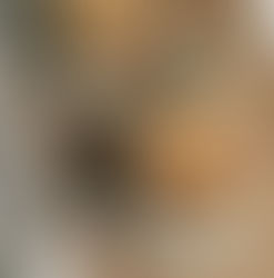 "Bacon" Arugula & Tomato Sandwich