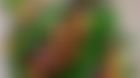 Bean and Sweet Potato Tacos with Mango Salsa