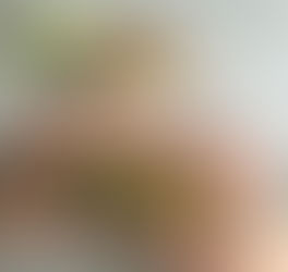 Sprout and Apple Sandwich on Raisin Bread