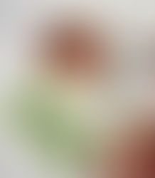 Steel Cut Oats with Rhubarb Compote