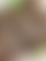 Mint Chocolate Energy Bar