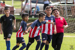 Deportes (53)