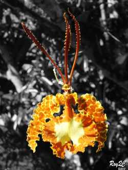 Naturaleza (59)