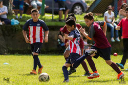 Deportes (52)