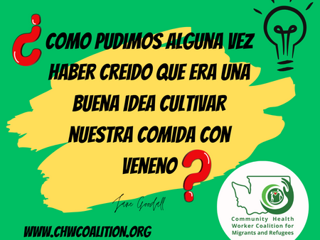 "Cosechando Consciencia: Los Desafíos de los Pesticidas en la Agricultura Moderna"