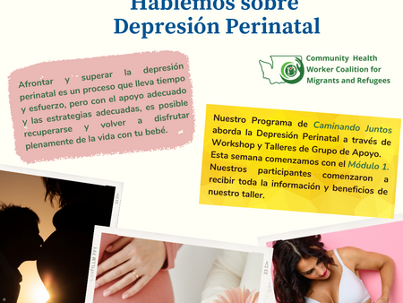 SALUD MENTAL - Hablemos sobre Depresión Perinatal.