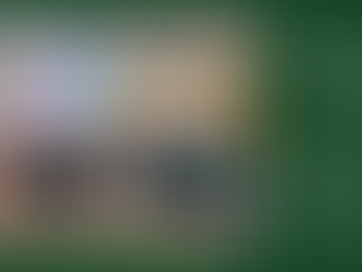 Convening of the Female Genital Mutilation/Cutting Prevention and Response in Washington State.