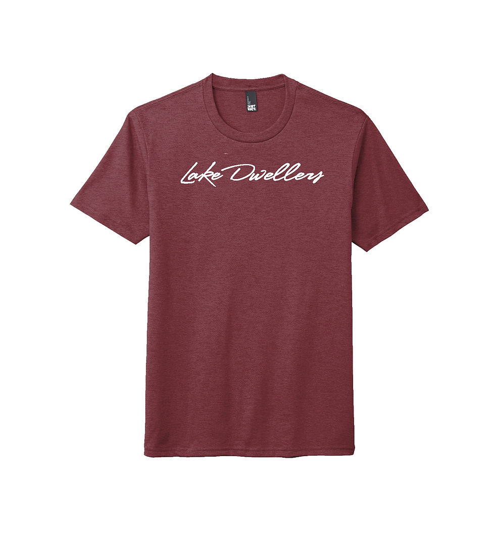 Thumbnail: Lake Dwellers Foundation