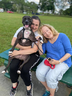 Care by Olga furry friends