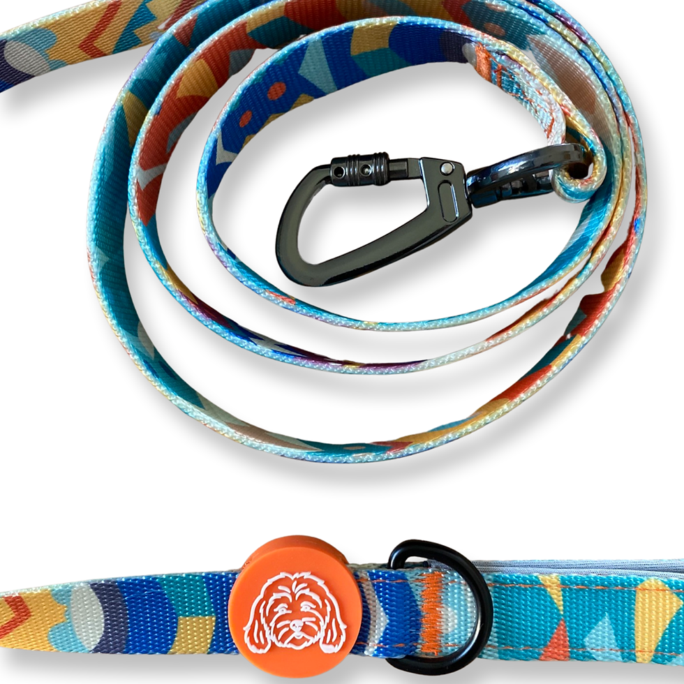 Küçük resim: Jade Turuncu Yeşil  Gezdirme Tasması