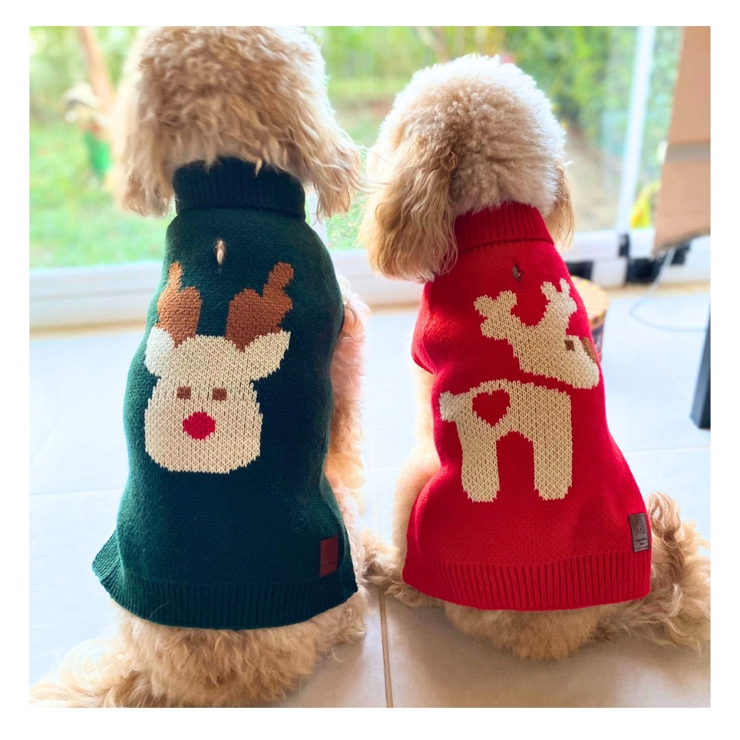 Yılbaşı Kazakları