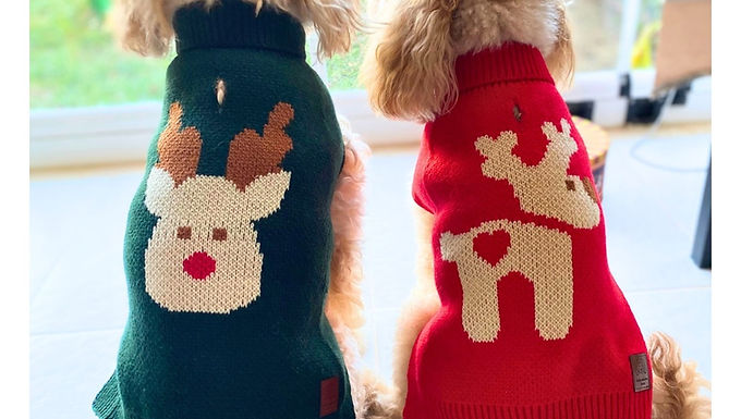 Yılbaşı Kazakları