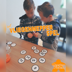 Vliegenmepperspel