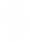 Logo - Ferrari Cavallino White.png