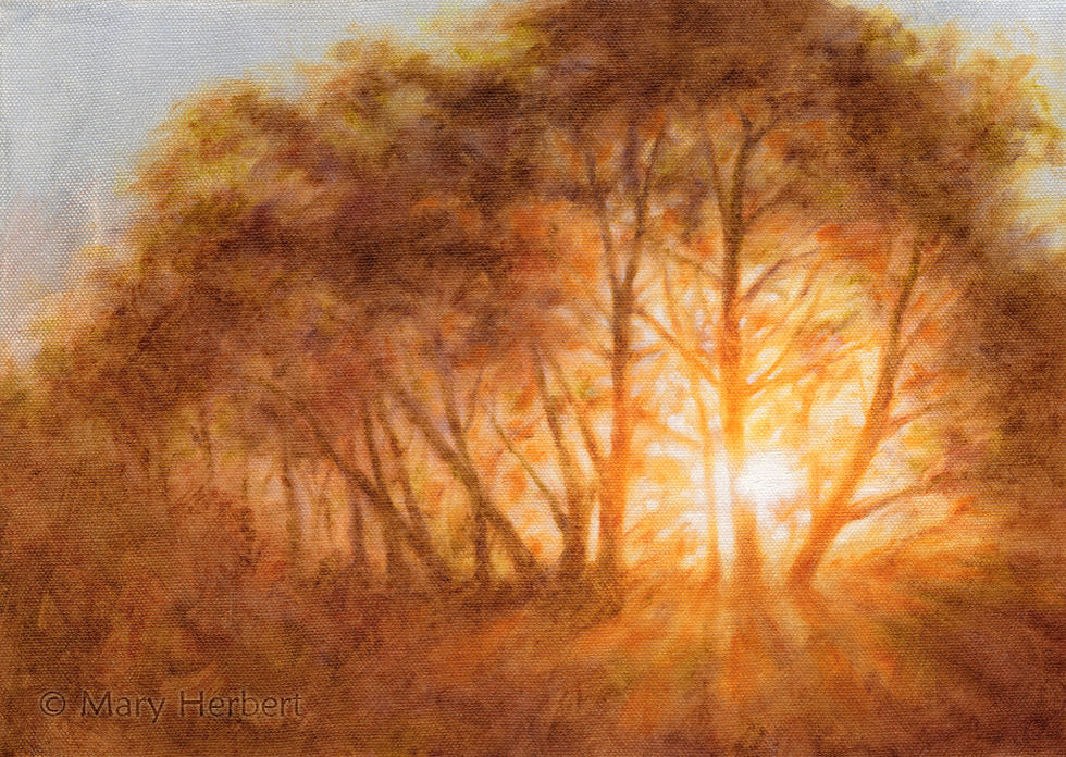 "Golden Hour" oil painting of sun setting behind trees by Mary Herbert
