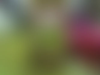 The Tip Jar - 9/9/07