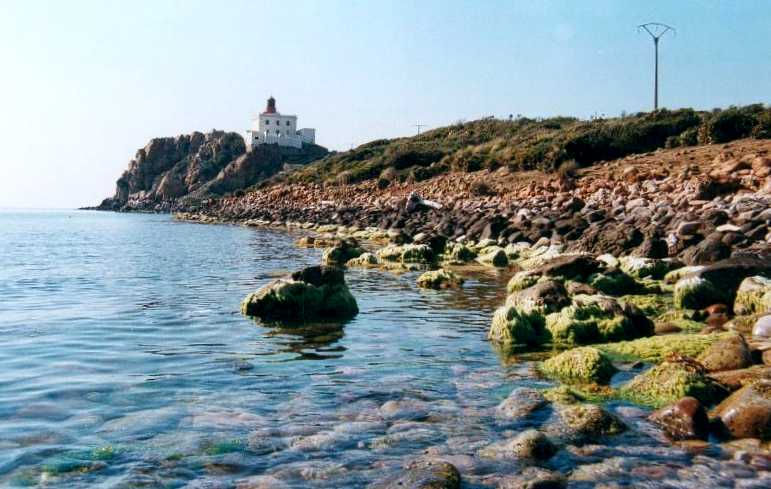 jijel16