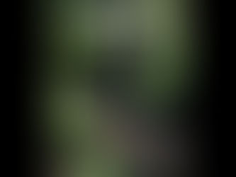 The First Steps in Creating a Stream Dance