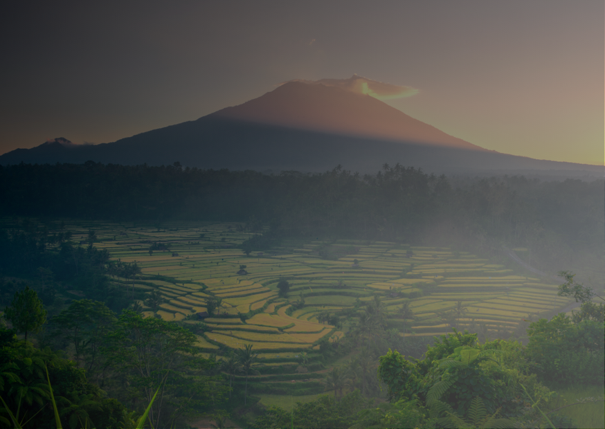 Дизайн без названия (1).png