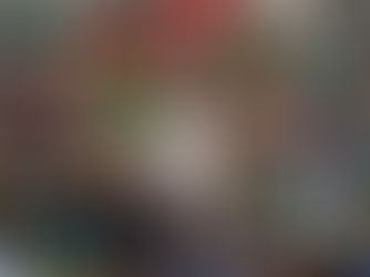 SÍNODOS Y SINODALIDAD. DE CHRISTUS VIVIT A QUERIDA AMAZONIA"