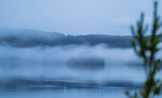 Foggy morning at Surge Narrows on Read Island in the Discovery Islands