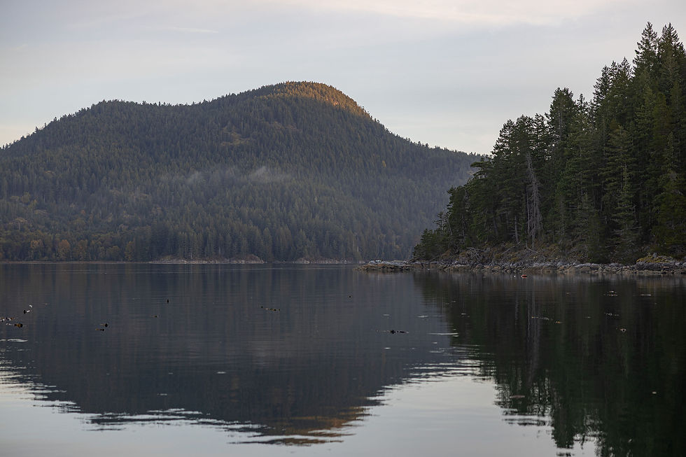 SN82.jpg