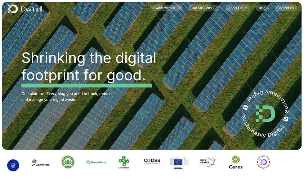 dwindl-website-home-page.jpg