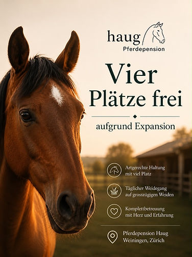 4 pltze frei.jpg