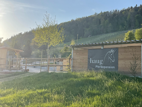 Aktivstall Pferdepension Haug