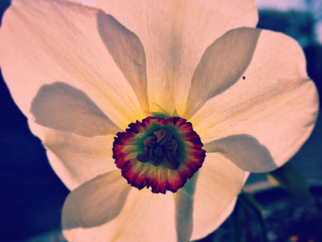 How It Feels to Be Born Again (Not In The Way You Think)