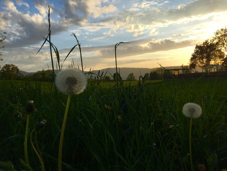 Finding Peace— Anywhere