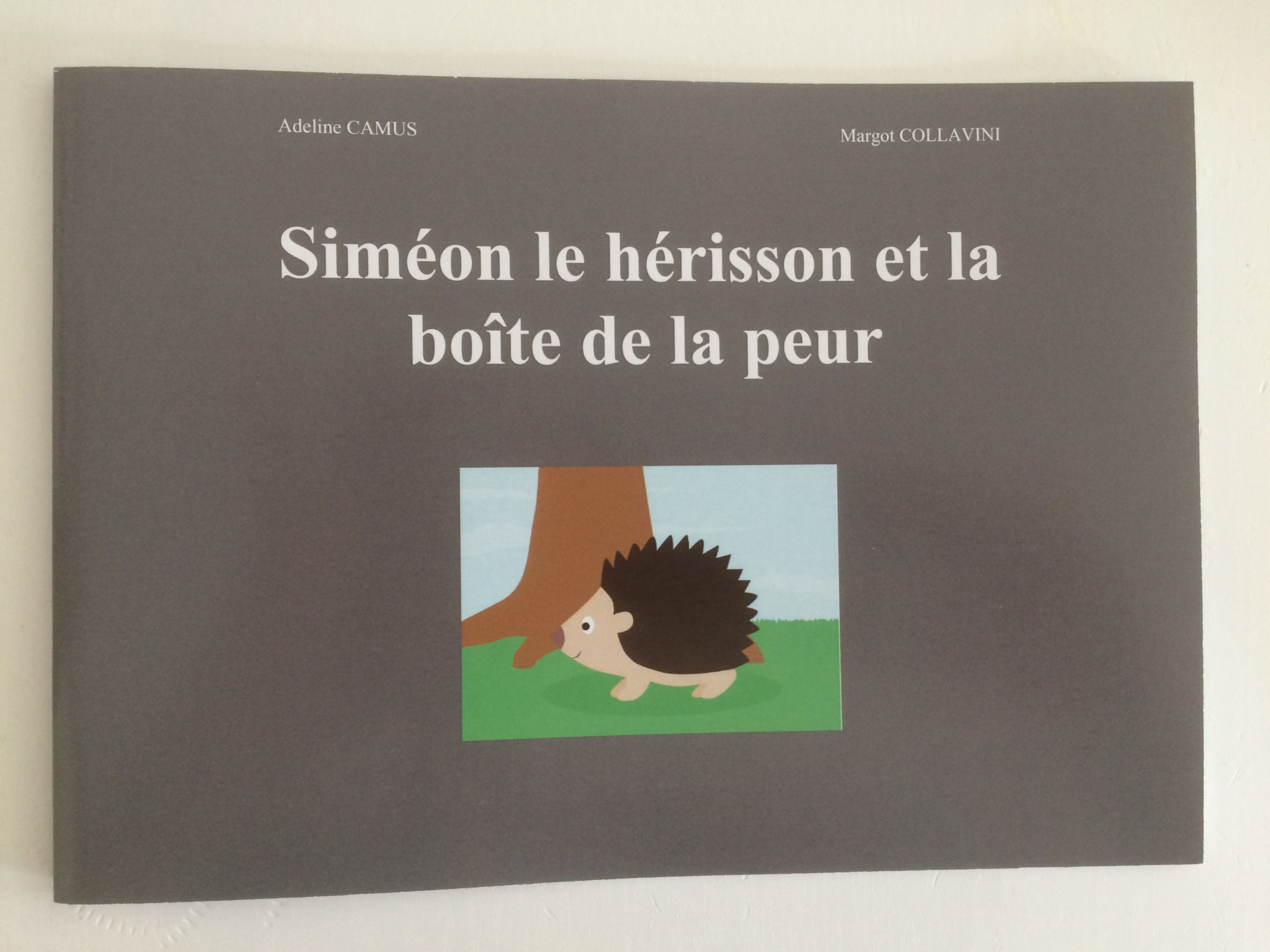 Siméon le hérisson et la boîte de la peur