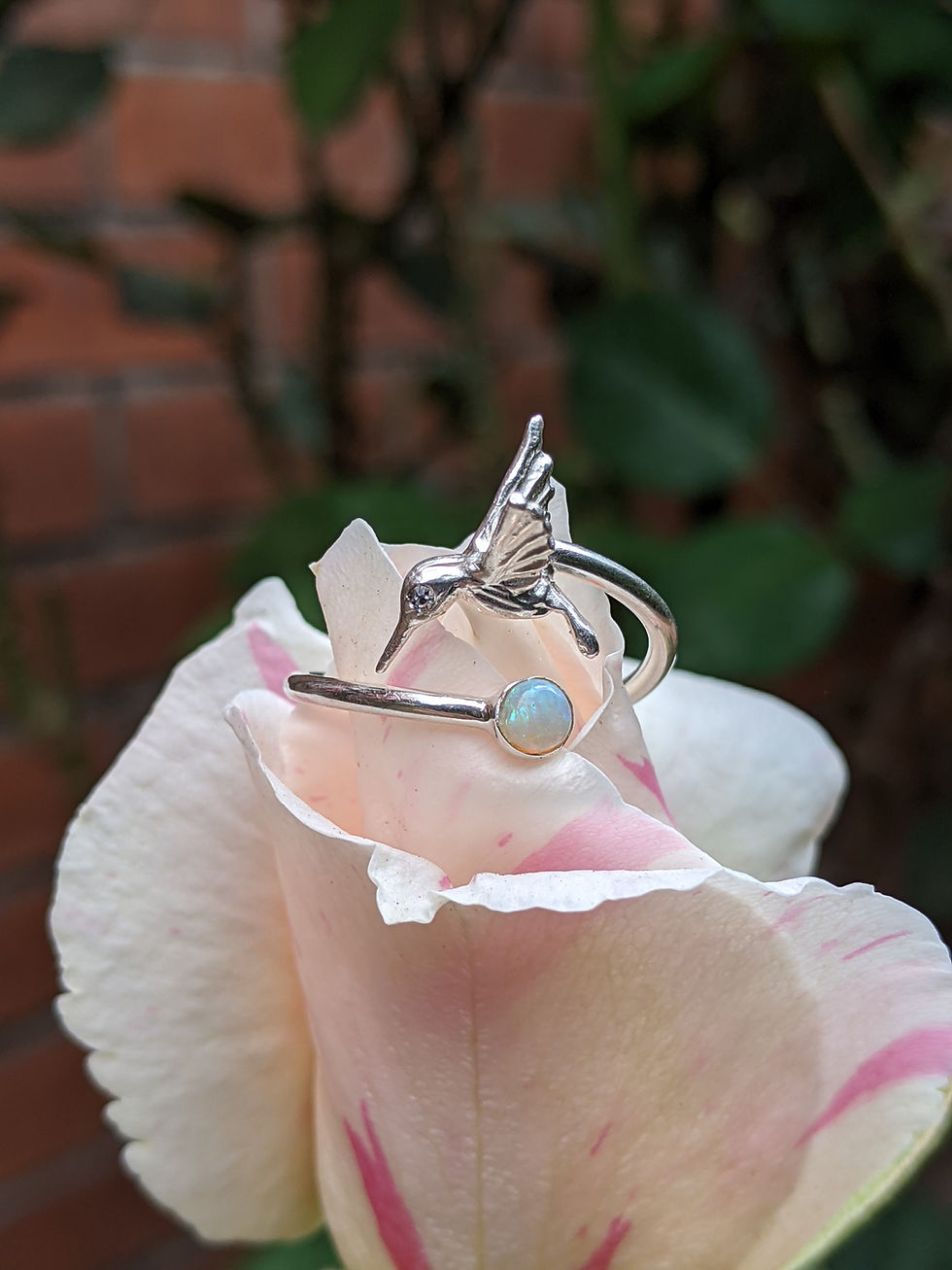 Miniatura: Anillo colibrí