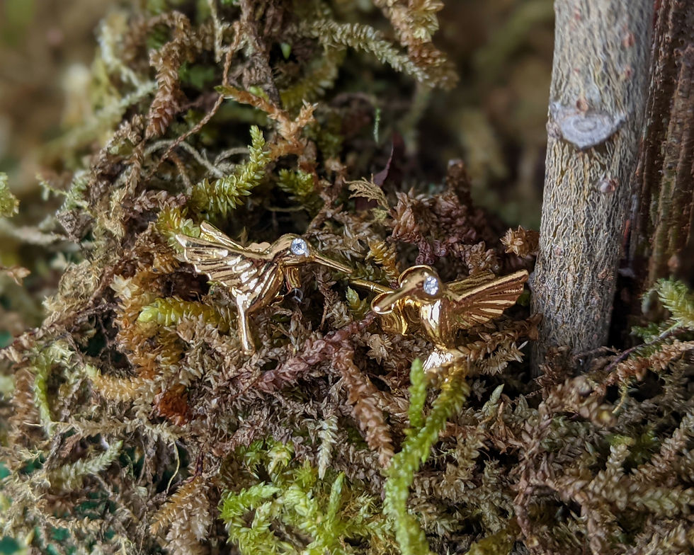 Miniatura: Aretes colibrí poste chicos